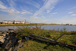 Click to enlarge picture.