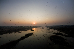 Click to enlarge picture.