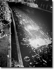 Click to enlarge picture.